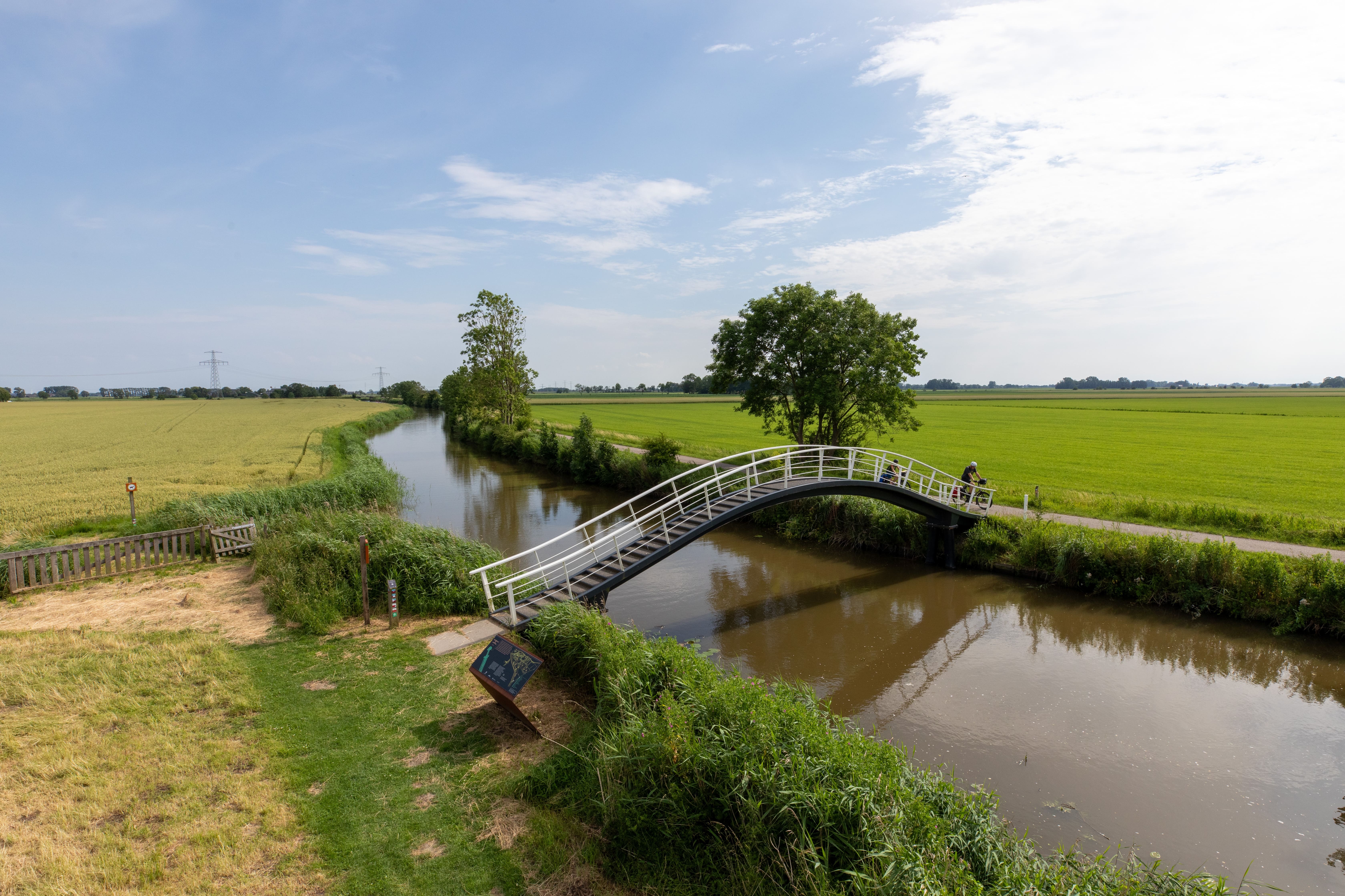 hoogholtjes 